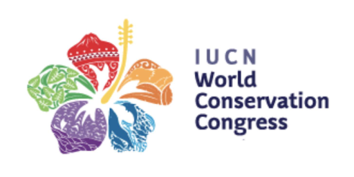 logo2 1